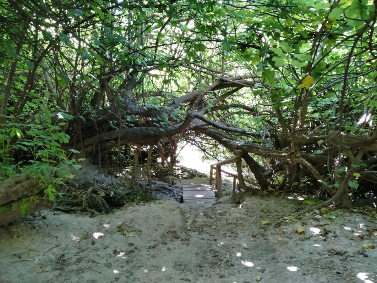 Alojamiento Rural, Cueva De La Abuela Cuevas del Campo Exteriör bild